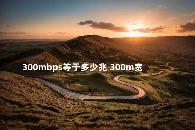300mbps等于多少兆 300m宽带够几个人用